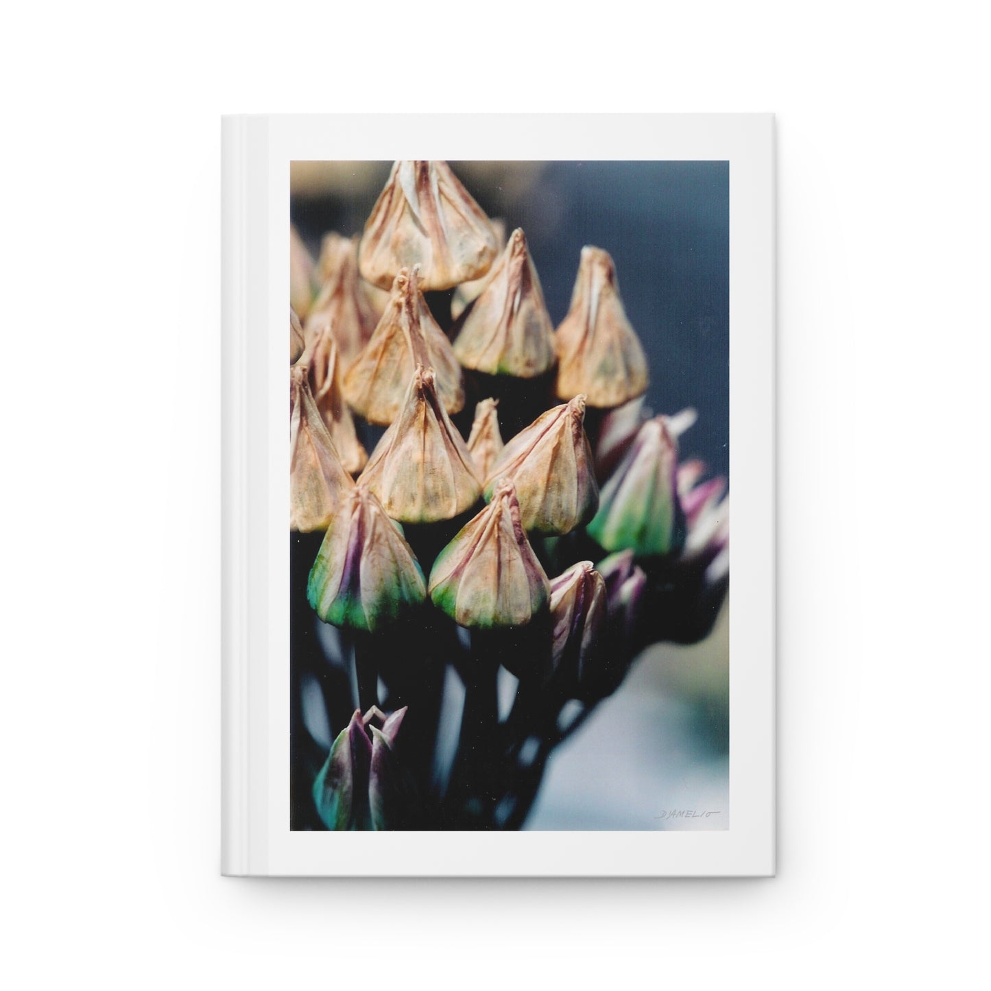 Artichoke Journal