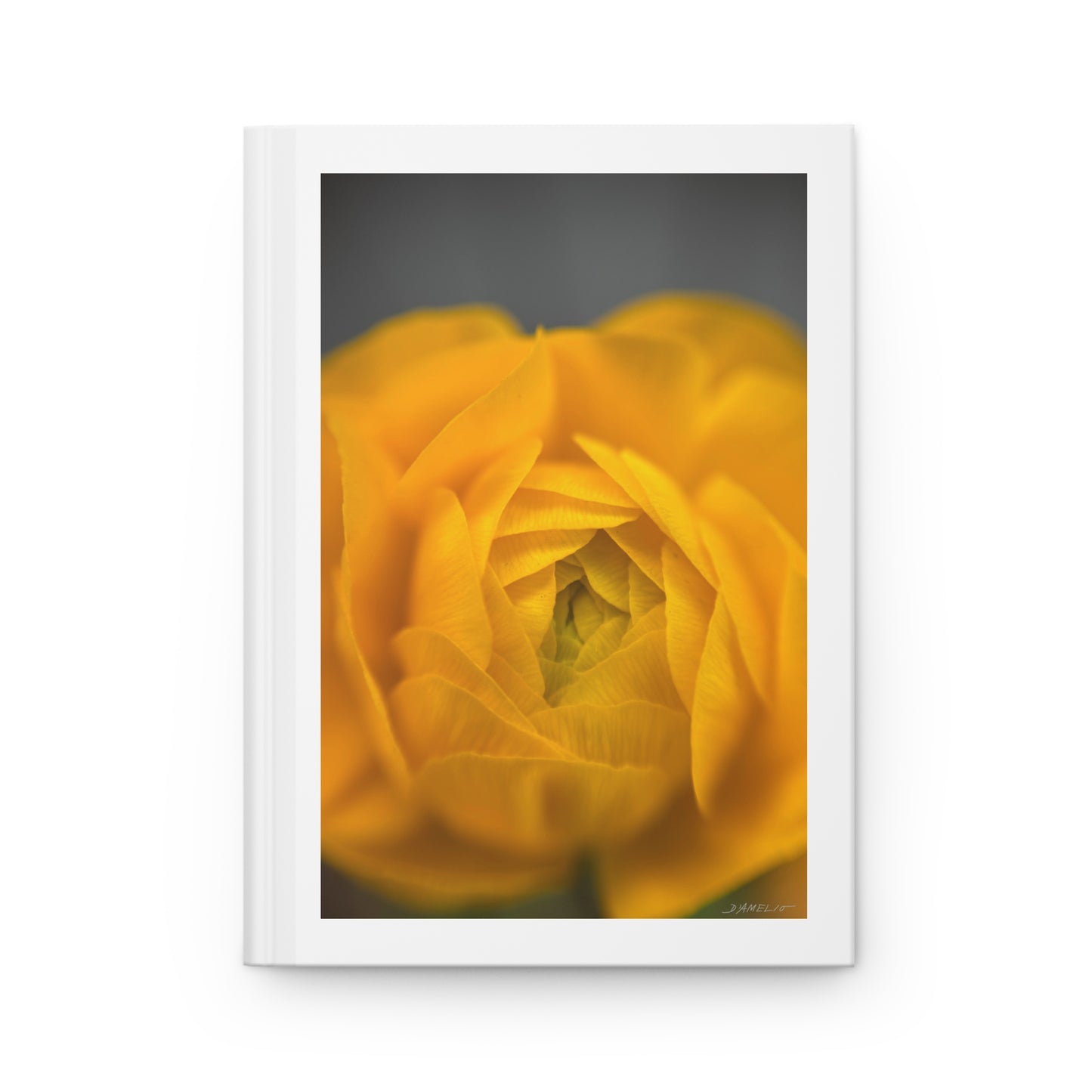 Ranunculus Journal
