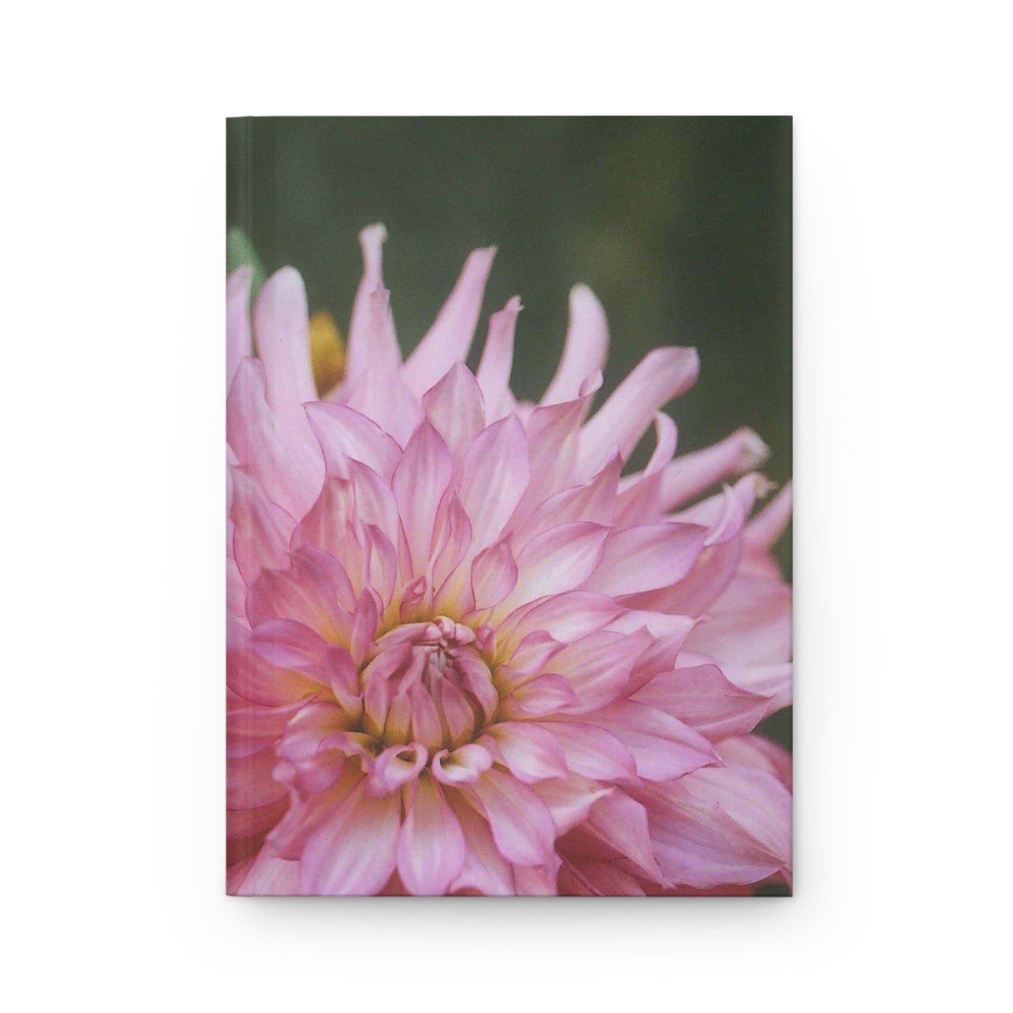 Dahlia Journal