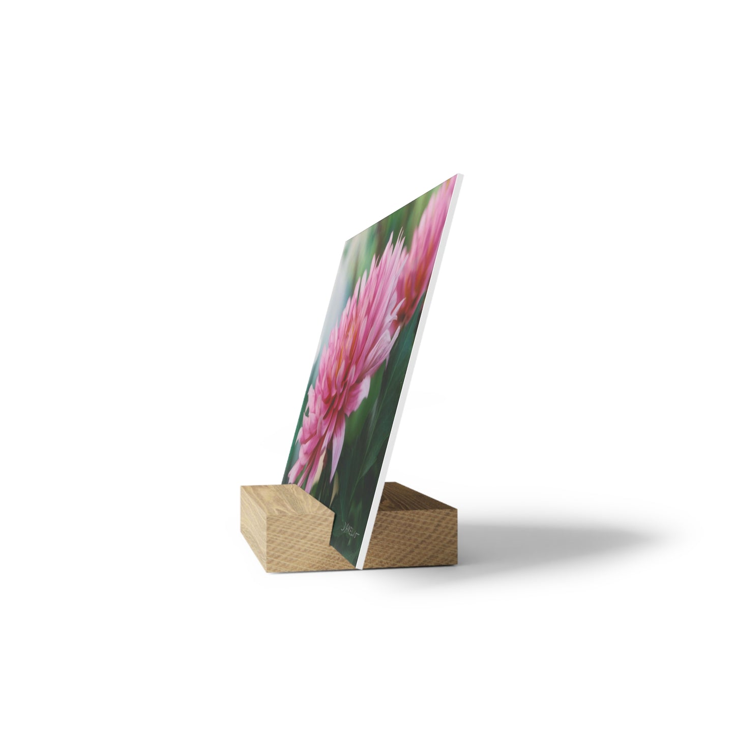 Dahlia Gallery Board with Stand