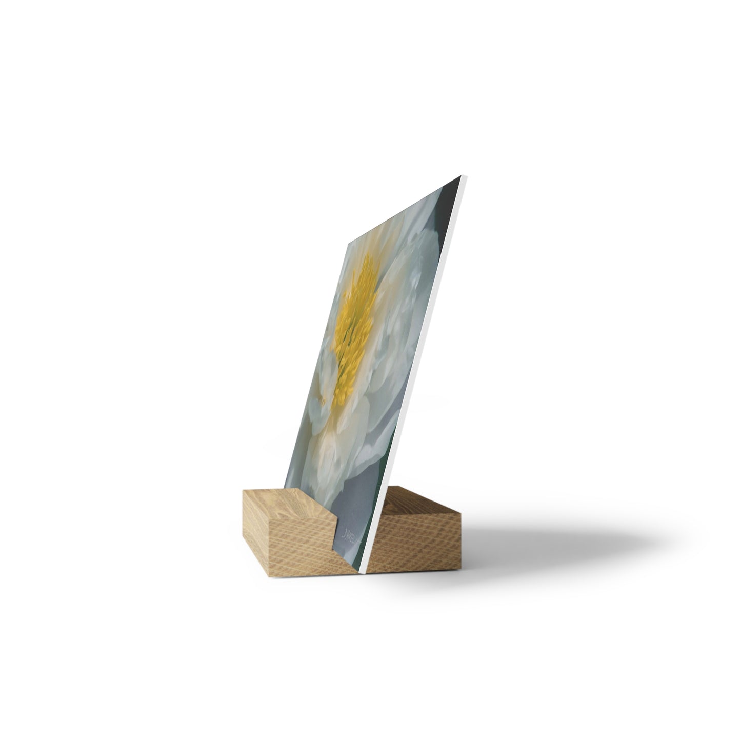 Open Peony Gallery Board with Stand