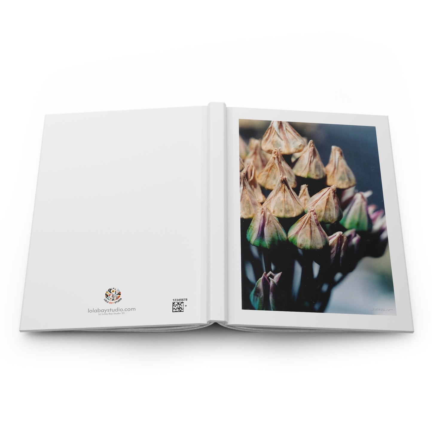 Artichoke Journal