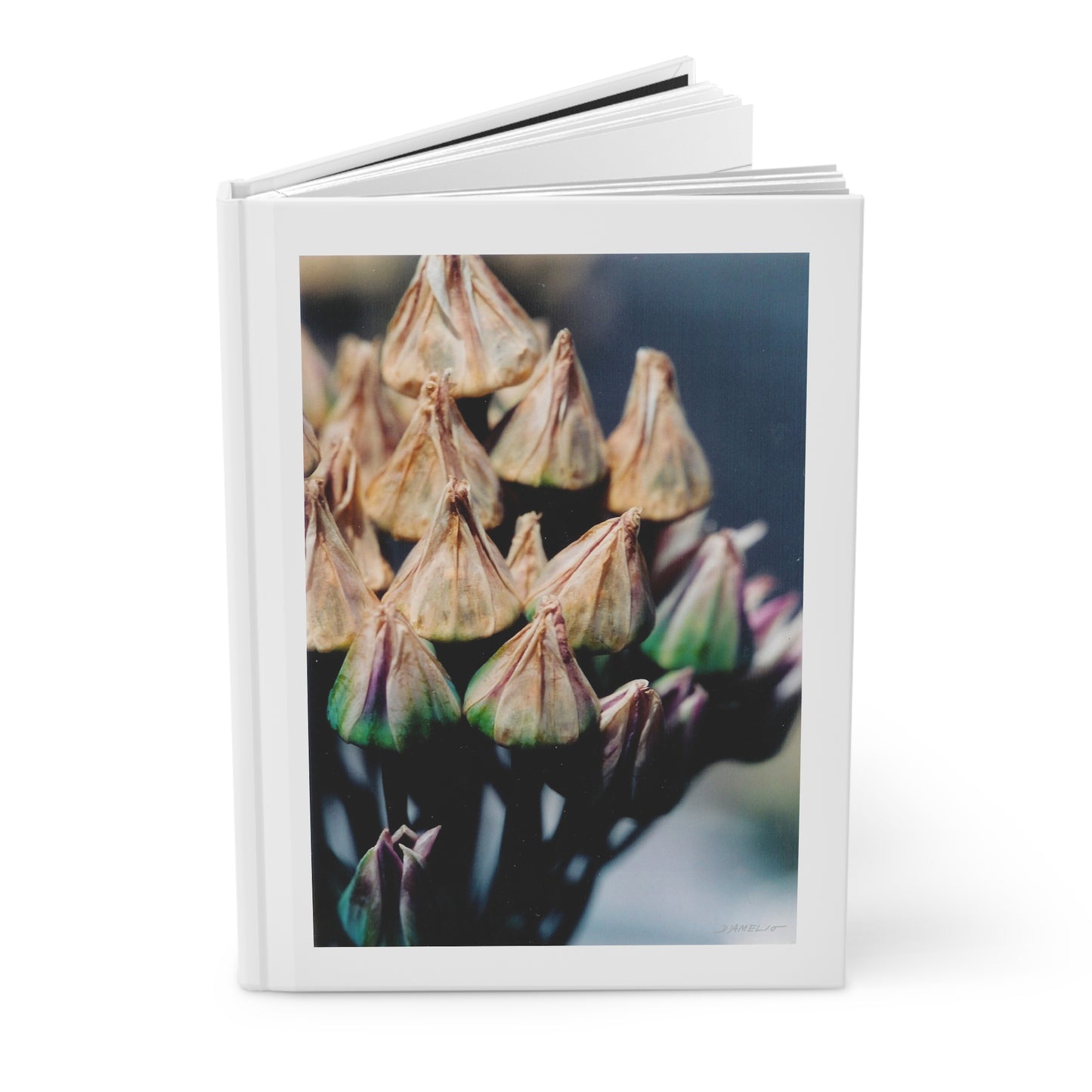 Artichoke Journal