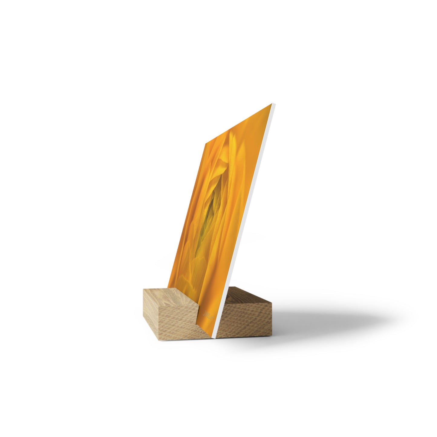 Ranunculus Gallery Board with Stand
