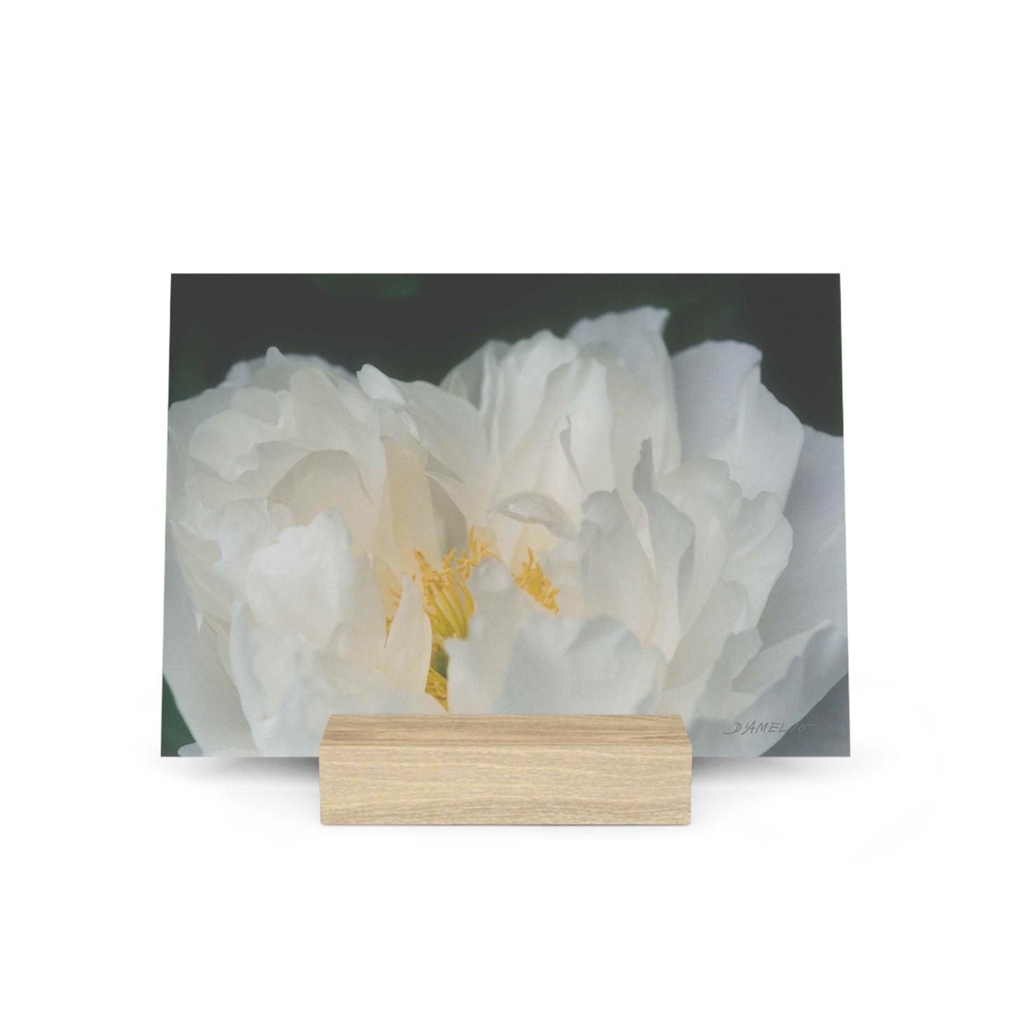 Peony Gallery Board with Stand