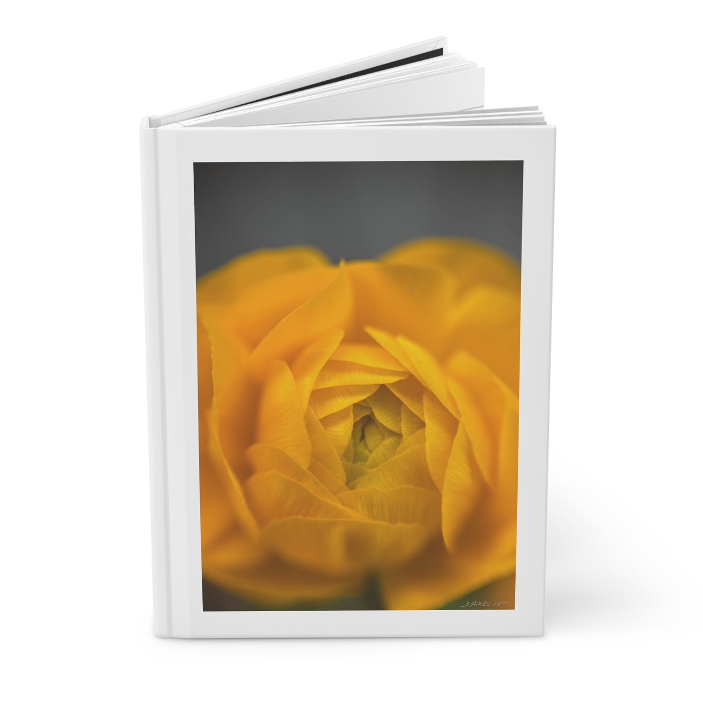 Ranunculus Journal