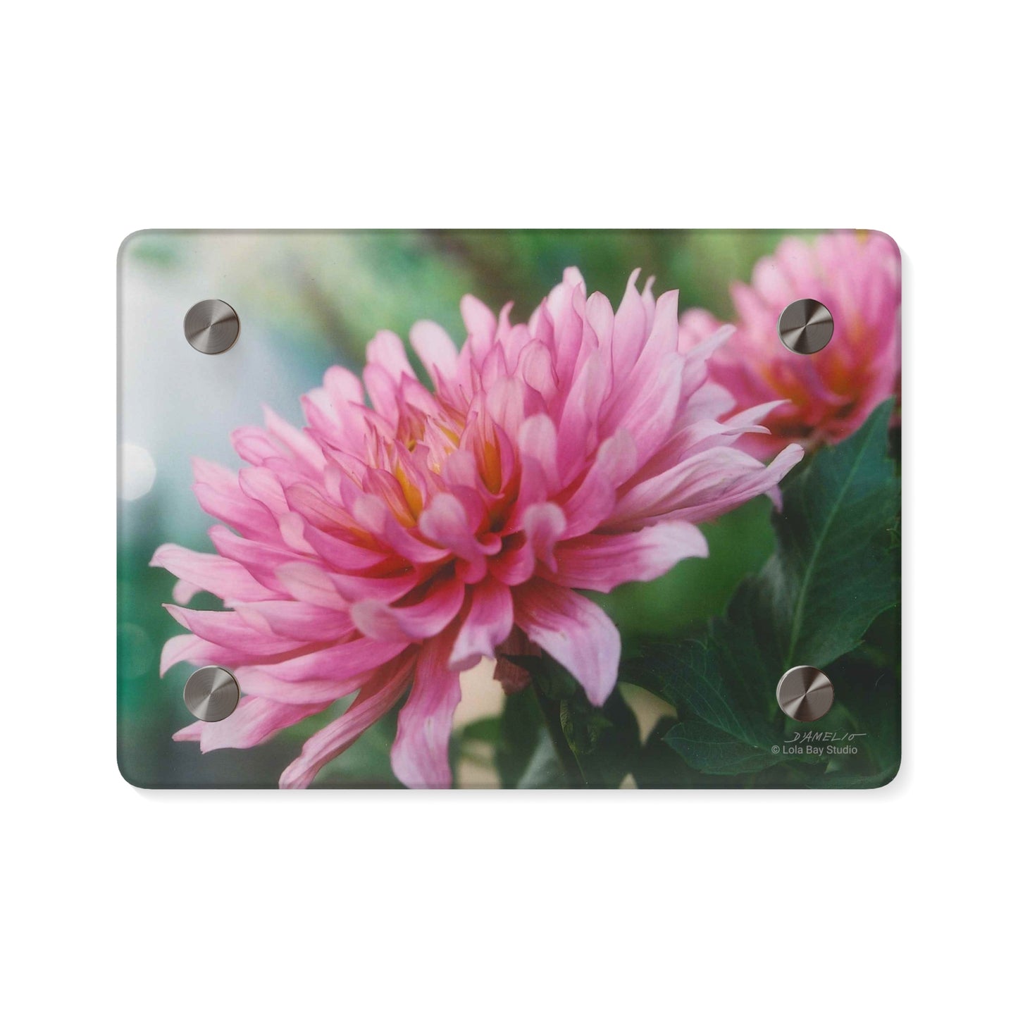 Floral Acrylic Wall Art Panels